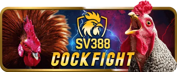 Cá cược Thể Thao EU88